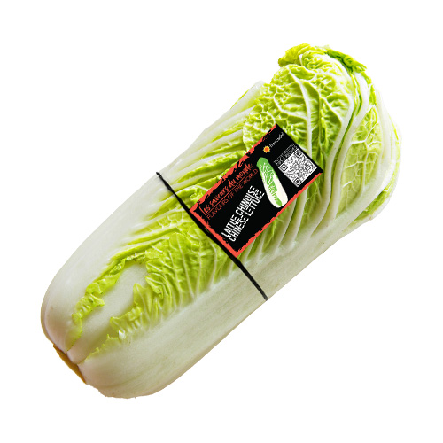 Chinese lettuce