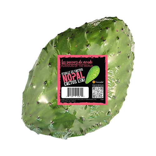 Nopal cactus leaf