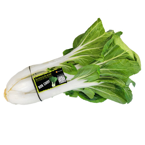 Bok choy 