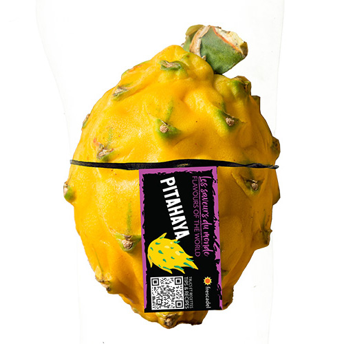 Pitahaya (yellow)