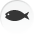 Fish in a snap