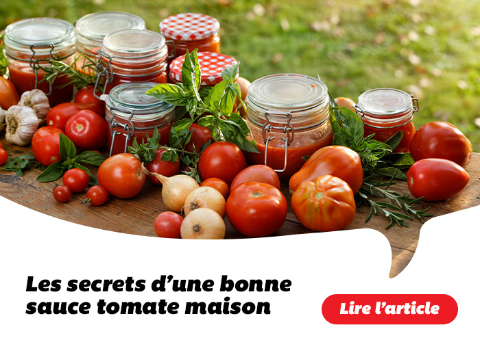 Les secrets d'une bonne sauce tomate maison - Lire l'article