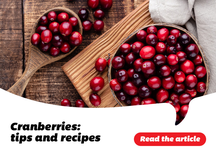 Cranberries: tips and recipes - Read the article