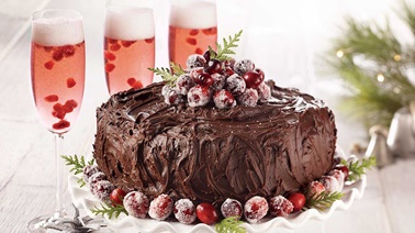 Dark chocolate cake with frosted cranberries