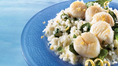 Pétoncles poêlés sur nid de risotto au mascarpone et au citron