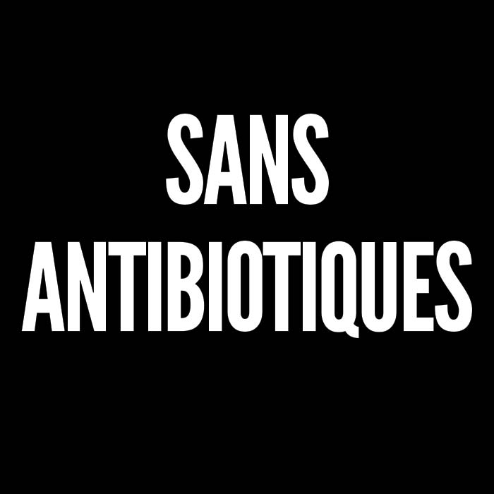 Sans antibiotiques logo