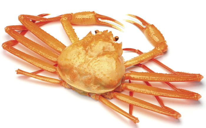 crab