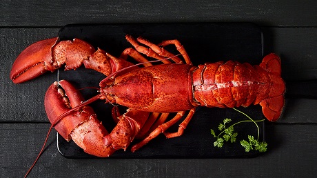 It's officially lobster season!