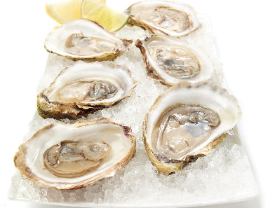 Oysters