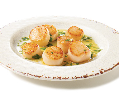 Scallops