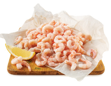 Northern shrimp