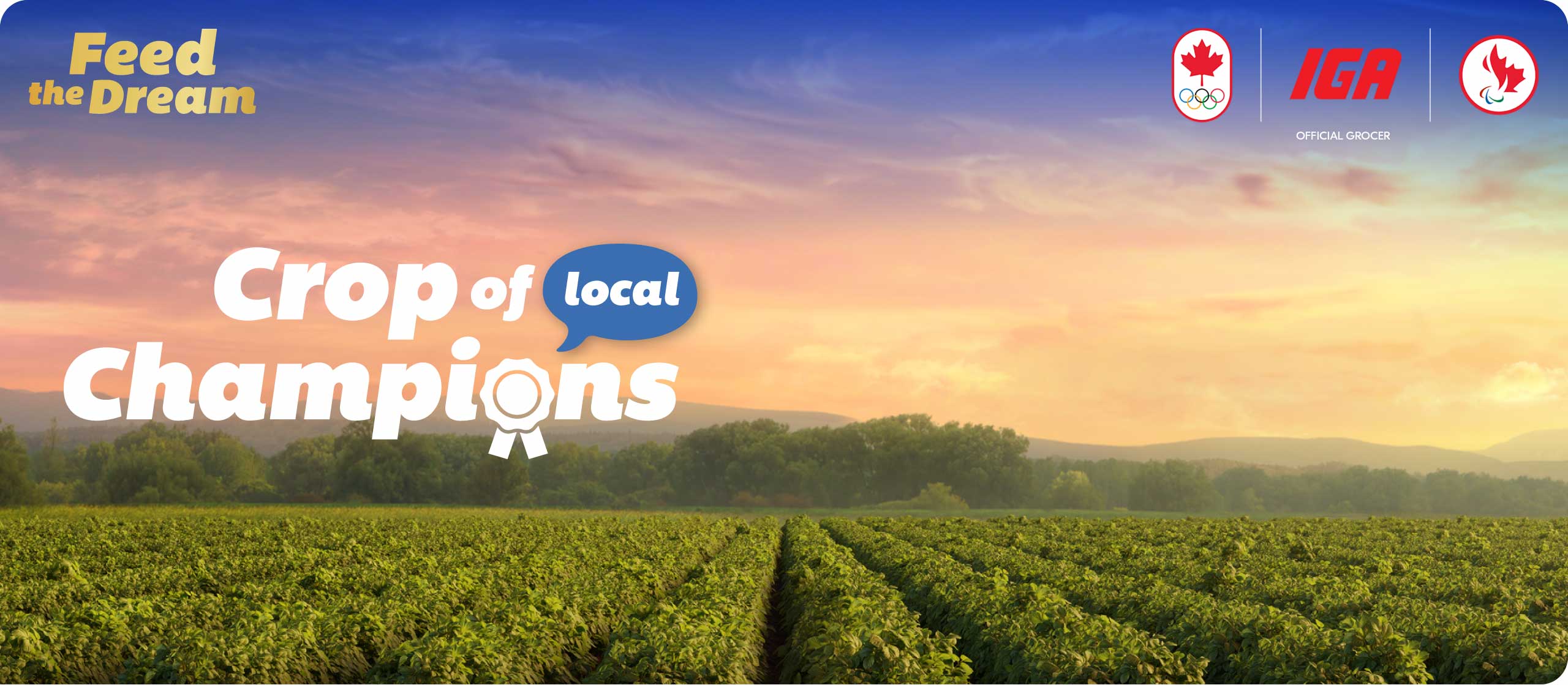 A farmer’s field at sunset. The slogan “A crop of champions” is overlaid. The logos of the Canadian Olympic and Paralympic Committees are displayed, affirming IGA as the official grocer of Quebec Olympic and Paralympic athletes.