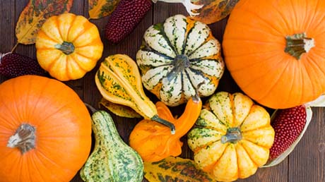 Discover 5 squash varieties and how to cook them