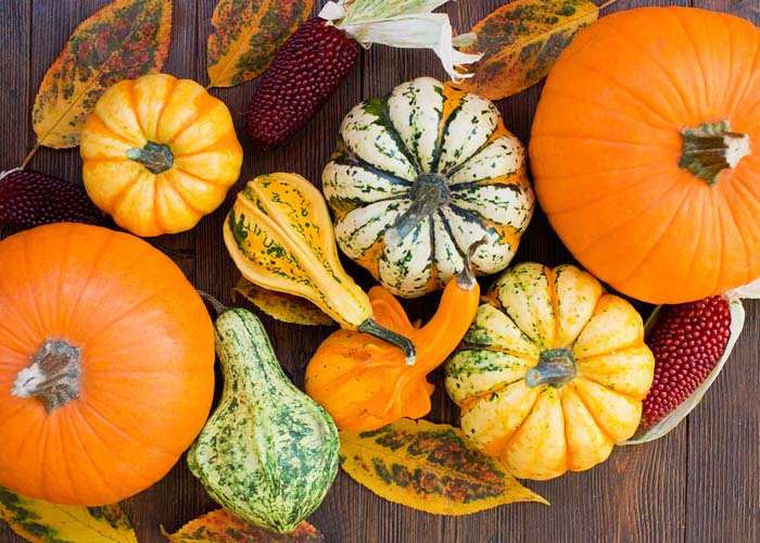 Discover 5 squash varieties and how to cook them