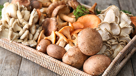 Des champignons de Paris