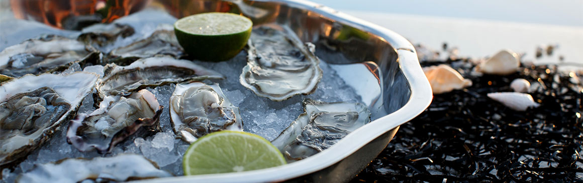 Raw, as an appetizer, as a mignonette, or au gratin . . . there’s an oyster for everyone!