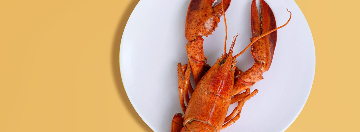 Three Ways to Cook Lobster
