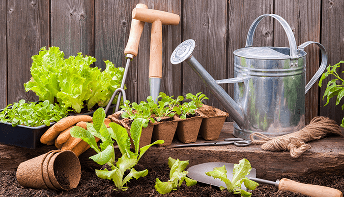 Comment faire un jardin à la fois abondant et enrichissant?